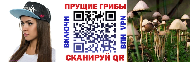 мориарти наркотические препараты  blacksprut ссылки  Калачинск  Галлюциногенные грибы мухоморы 