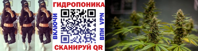 OMG как войти Калачинск Конопля гибрид